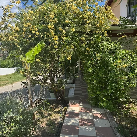 Konukevi Koala Place Vasiliki