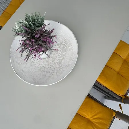 Konukevi Koala Place