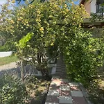 Gasthuis Koala Place Vasiliki