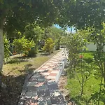 Koala Place 3*