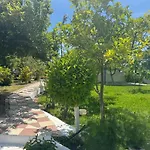 Koala Place Vasiliki