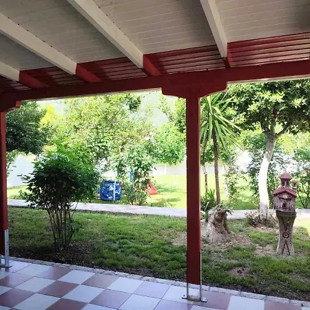 Koala Place Vassiliki