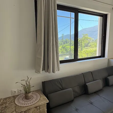 Koala Place Pensión 3*