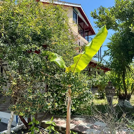 Gæstehus Koala Place Vasiliki