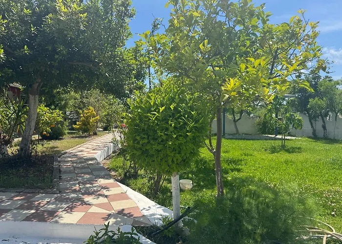 Koala Place Vasiliki